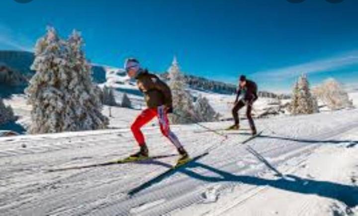 L'Oree Des Bois , Detente Et Calme . Mesigny Ngoại thất bức ảnh