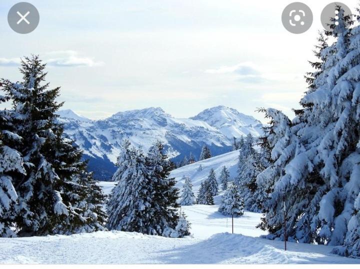 L'Oree Des Bois , Detente Et Calme . Mesigny Ngoại thất bức ảnh